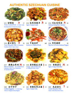 Cheng du 23 Authentic Chinese Szechuan menu 3 in Wayne, NJ