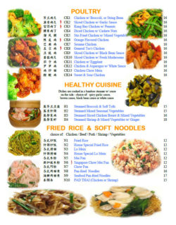 Chengdu23 Poultry Health Cuisine Fried Rice Soft Noodle in Wayne NJ