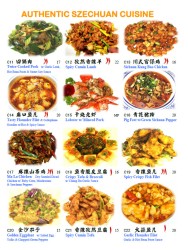 Authentic Sichuan Cuisine 2