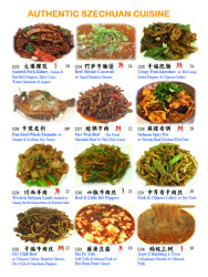 Authentic Sichuan Cuisine 3